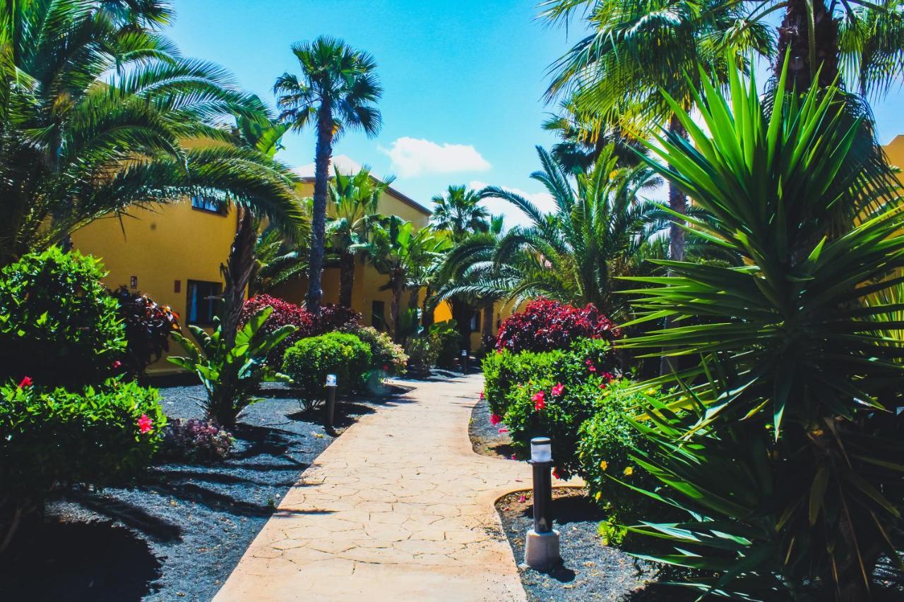 Oasis Fuerteventura Beach Apartments Corralejo Exterior foto